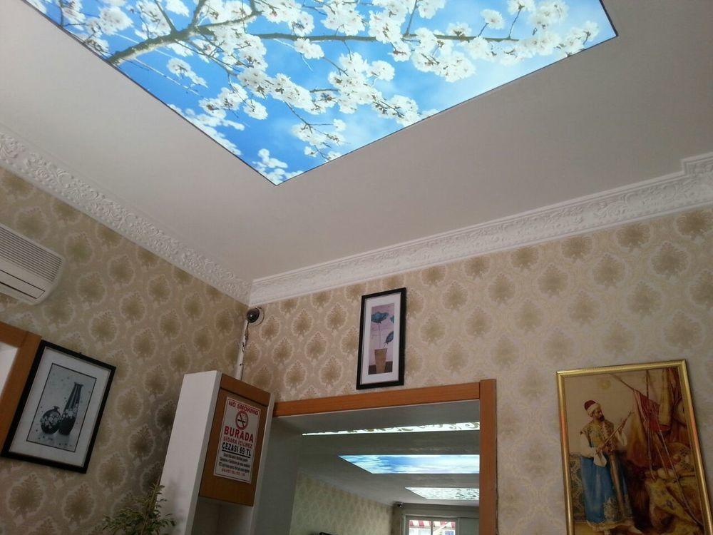 Elite Plus Family Hotel Old City Istanbul Eksteriør billede